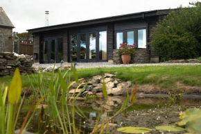 Little Well, stunning setting - 2 acres, dogs welcome